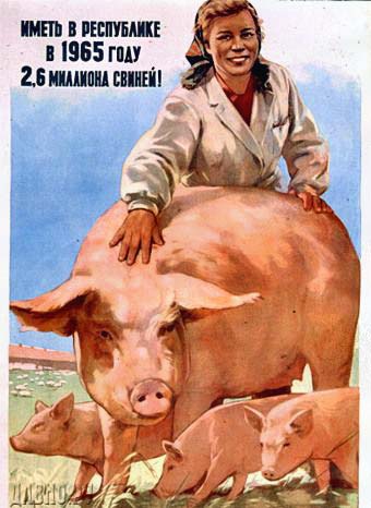 Плакаты Иметь в республике 2,6 миллиона свиней